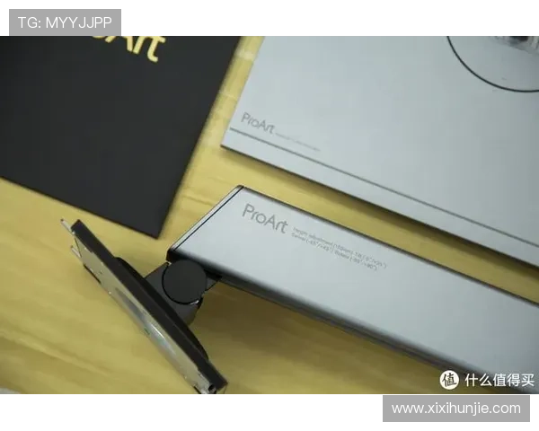 掌握PA电子下载的方法与技巧，提高效率的实用指南